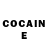 Cocaine FishScale G*M Roblox